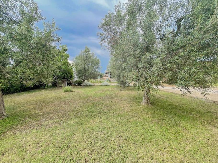 Villa In Campagna Tra Natura E Verde Montalto di Castro Exterior foto