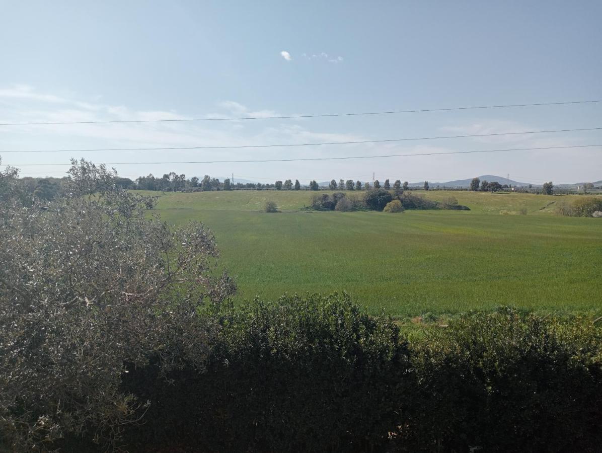 Villa In Campagna Tra Natura E Verde Montalto di Castro Exterior foto